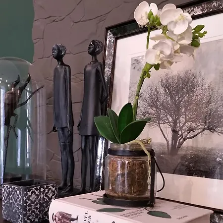 Bed & Breakfast Garden Boutique Lisbon