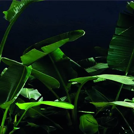 ベッド・アンド・ブレックファスト ガーデン ブティック